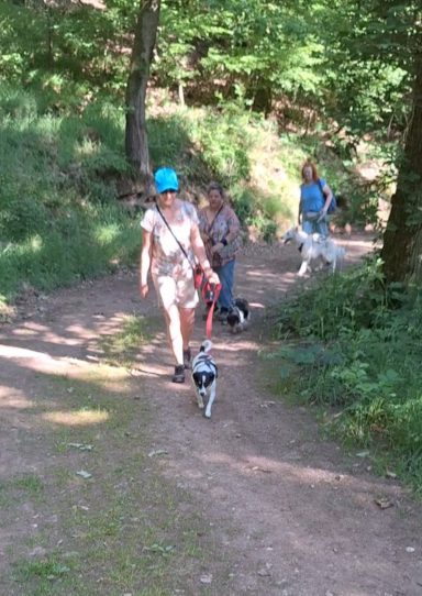 Social Walk - Start Social Walk - Start