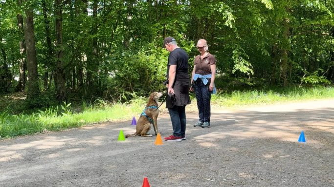 Social Walk - Parcour Social Walk - Parcour