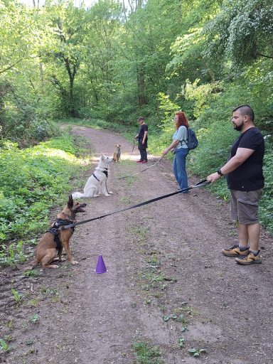 Social Walk - Übung "Bleib" Social Walk - Übung "Bleib"