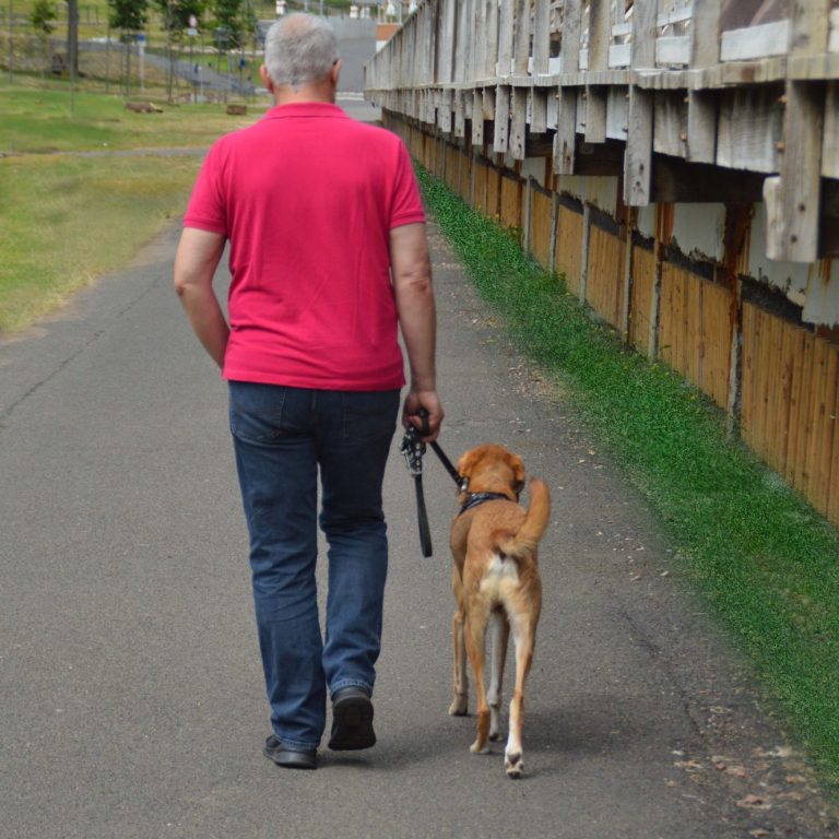 Social Walk