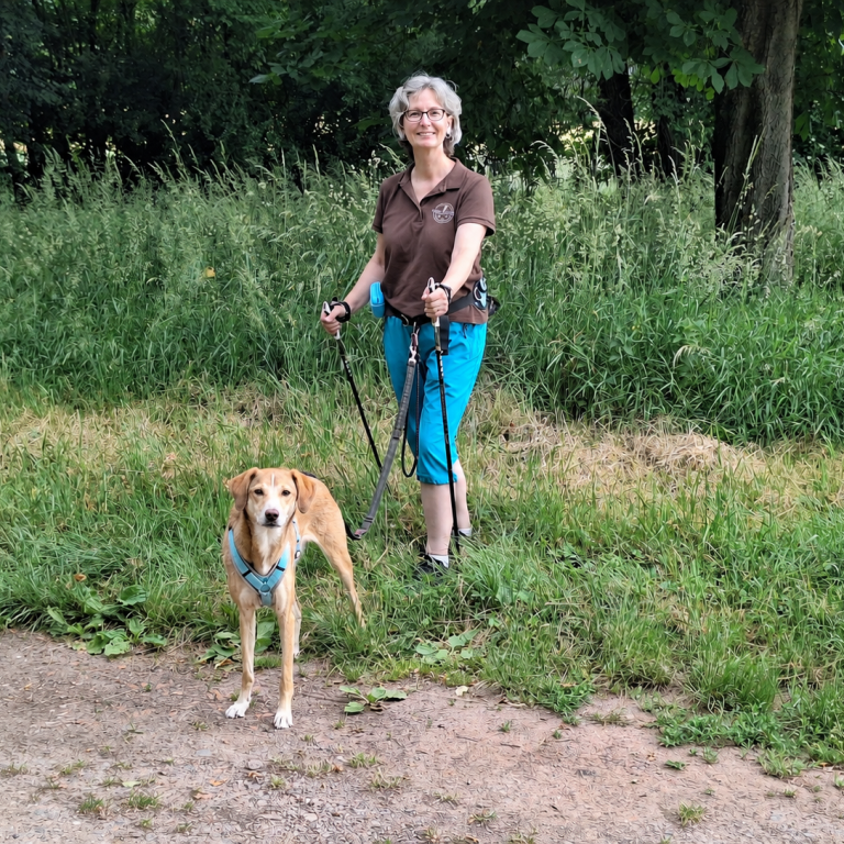 Nordic Walking mit Hund