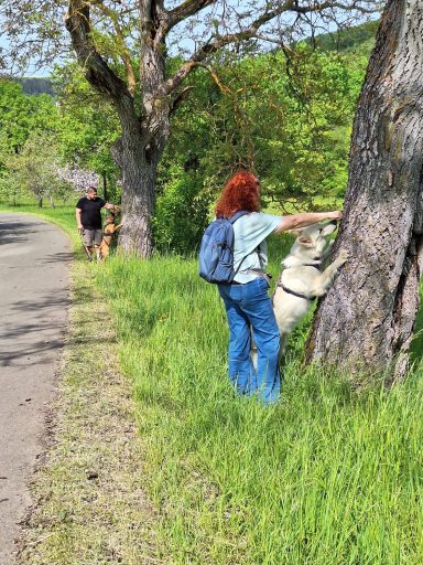 Social Walk - Strecken Social Walk - Strecken